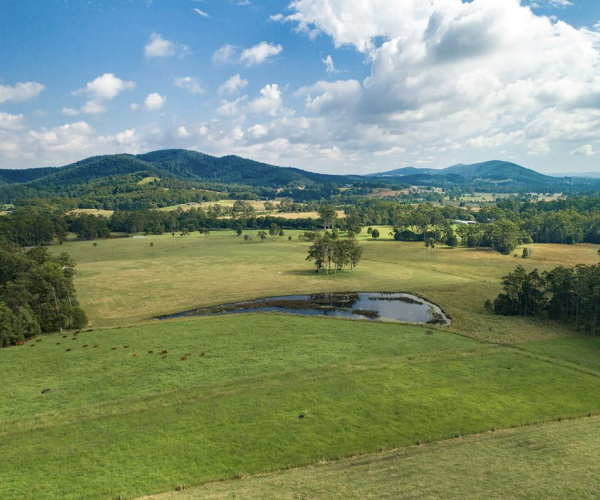 Screenshot 2025-07-02 at 4.06.25 pm