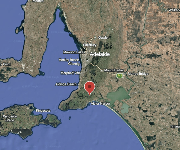 Screenshot 2026-03-11 at 1.18.10 pm