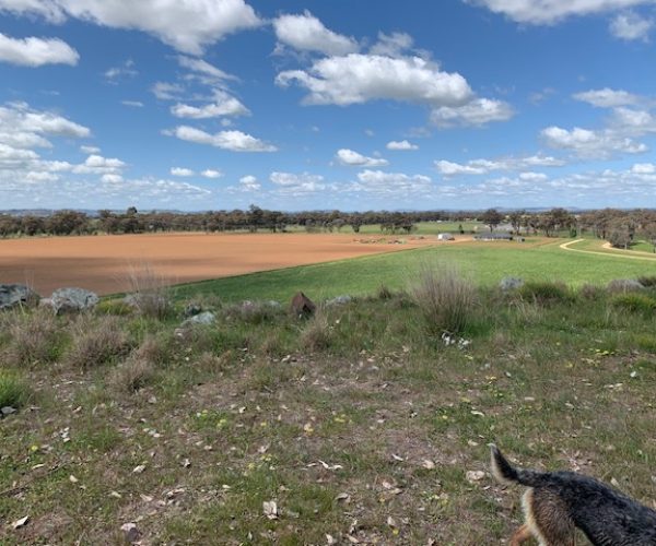 Tiny-House-Outlook-to-Cowra